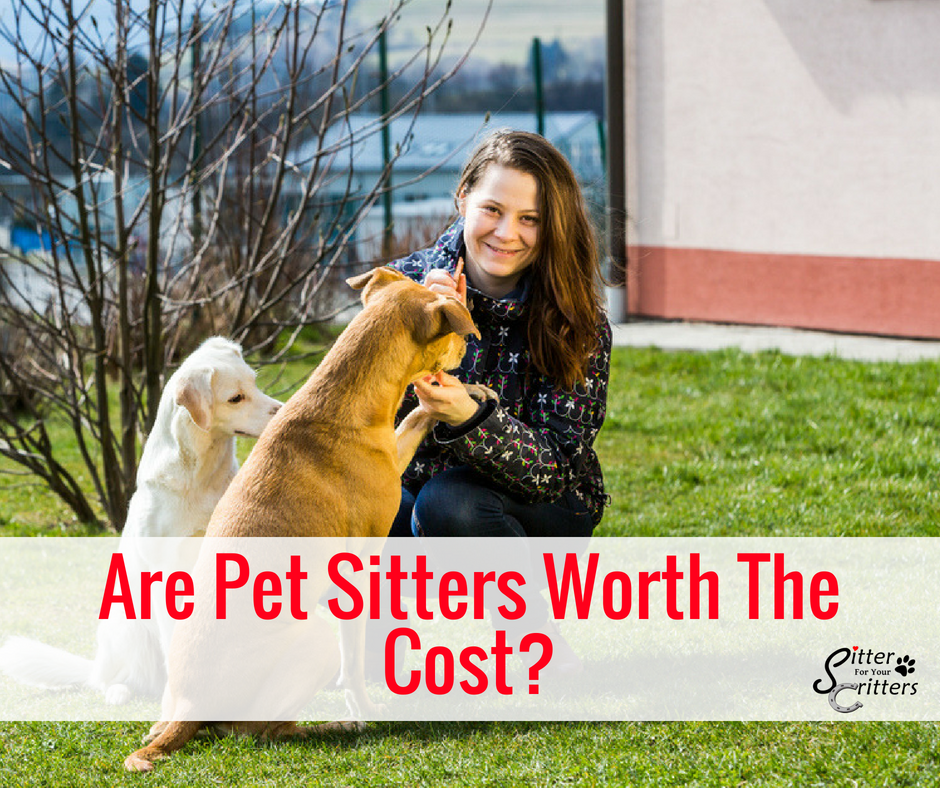 Are pet sitters worth the cost