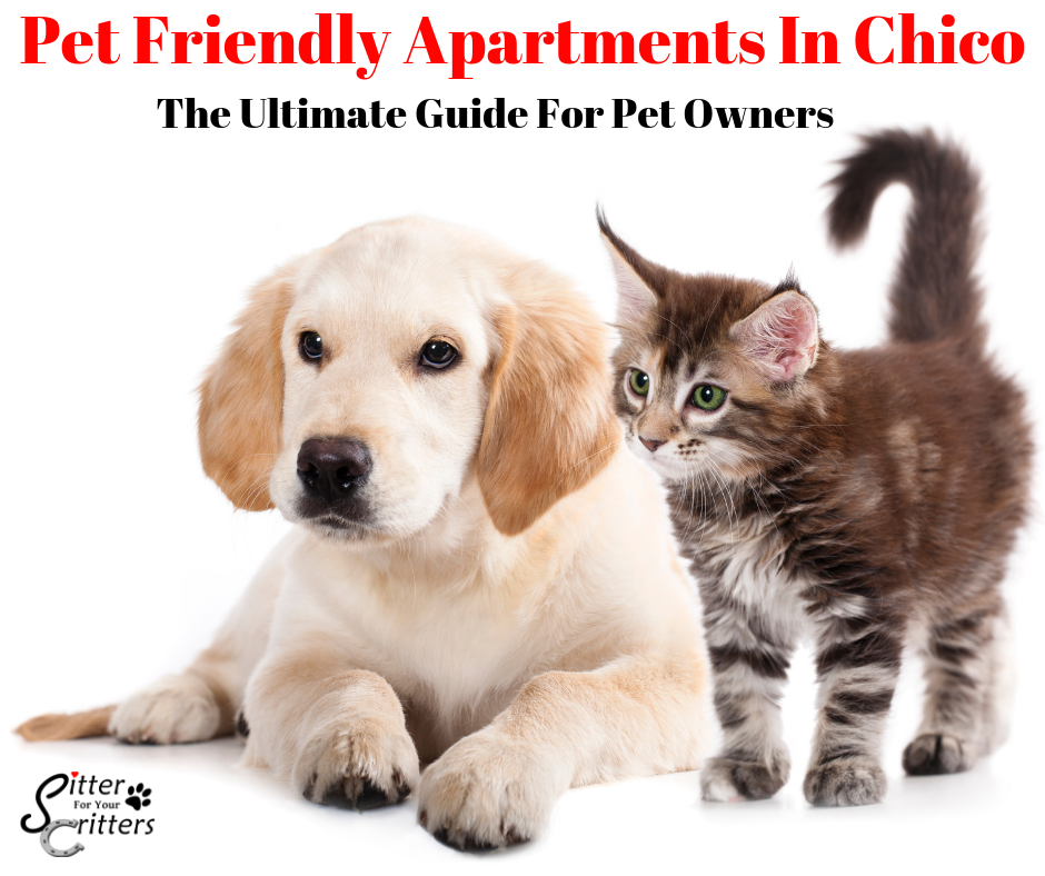 Pet Friendly Apartments In Chico